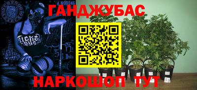 PSILOCYBIN Азнакаево