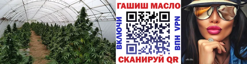 ТГК THC oil  Архангельск 