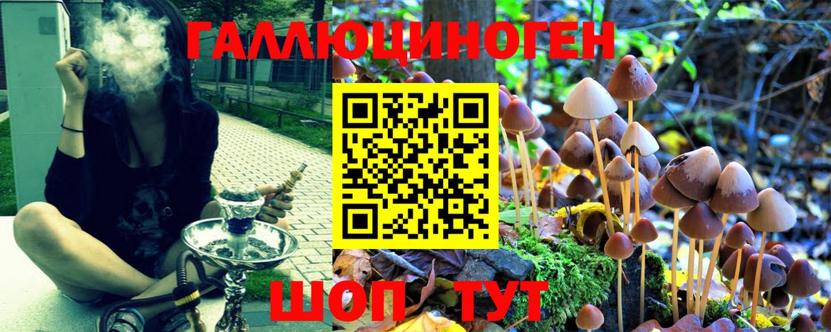 Псилоцибиновые грибы Psilocybine cubensis Архангельск