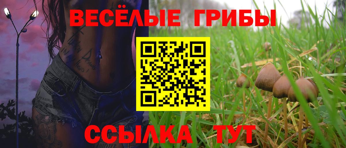 Псилоцибиновые грибы Cubensis  Архангельск 