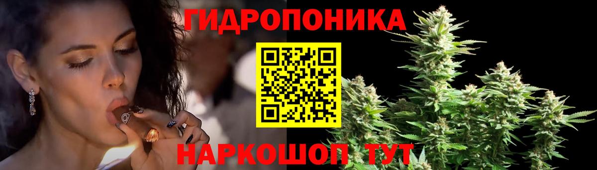 Альфа ПВП Архангельск
